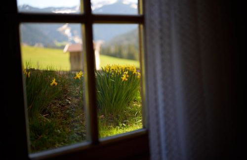 Ferienhof Almfrieden - Photo 60