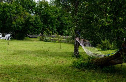Zakątek Szczęścia Eko Agroturystyka - Foto 70