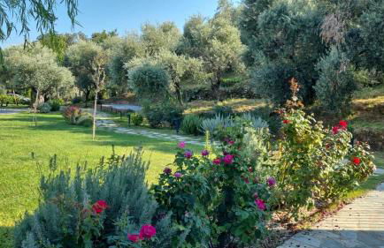 Moses Villa - Foto 7