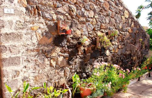 Casa Basilisa Capote - Foto 6