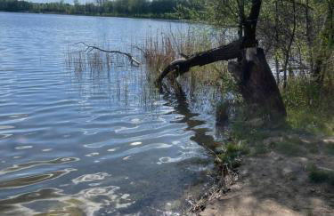 Siedlisko Mokra - Leśniczówka pod Jaworem - Foto 20