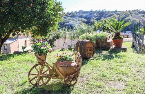 Antica Cantina Emilia - Foto 21