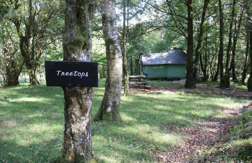 Tree Top Cabin with Private Hot Tub - Foto 23