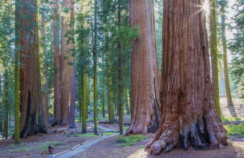 Buckeye Bear's Den-AC-Walking Distance to town - Foto 70