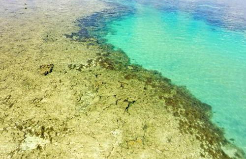 Proa Japaratinga - Foto 3