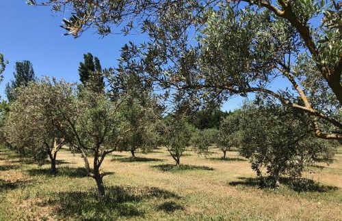 L'Oustalet des Alpilles - Foto 20