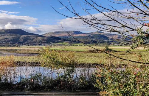 Firwood Apartment - Foto 11