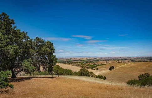 Hilltop Oasis - Foto 42