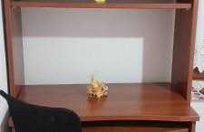 ΠΗΛΙΟ- ΤΟ ΕΞΟΧΙΚΟ ΤΗΣ ΑΝΝΑΣ- ΑΦΗΣΣΟΣ - Photo 52