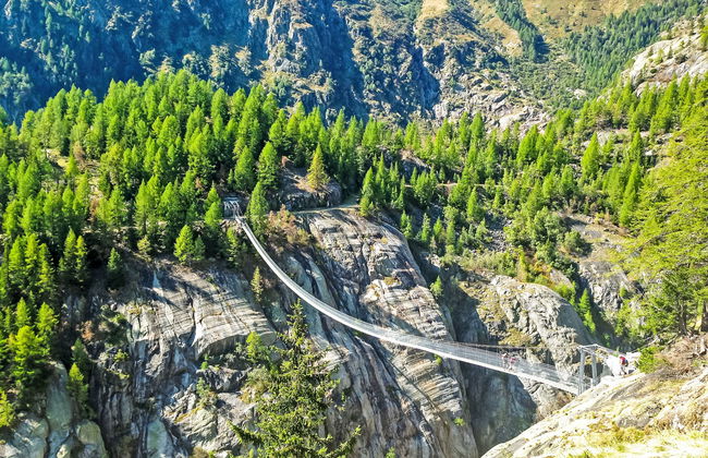 Aragon P36 - Foto 69