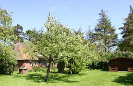 Urlaub im Friesenhaus - Foto 24