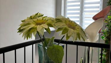 Apartamentos Natura Cantabria - Foto 5