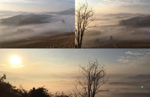 Il Vigneto - Foto 27