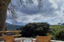 Hatzanario Apeiranthos - Photo 14