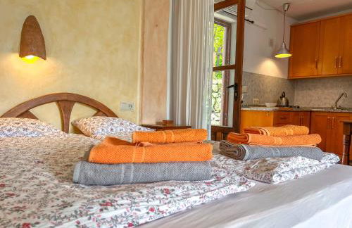 Tropical Studio - Foto 20