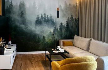 Apartamenty Piwniczna-Zdrój Rynek - Foto 2