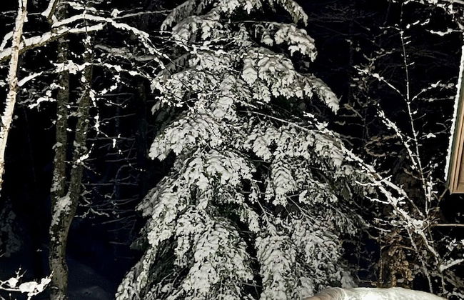 Hauser's Bayfield Cabin - Foto 61