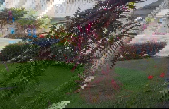 Flats Privé Village Galés (Maragogi - AL) - Foto 18