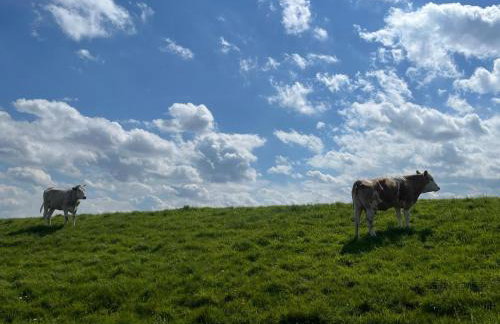 Alfreds Landidyll - Photo 26