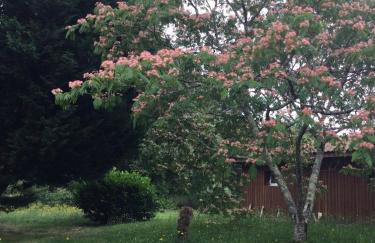 Gîte des Graves de Lilou - Foto 63