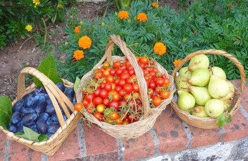 Casas Dos Infantes - Turismo Rural - Foto 77