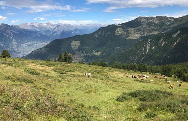 Romantic Stay in Saint-quirin - Foto 31