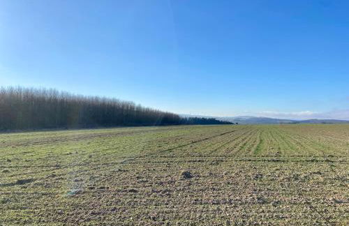 Familienwohnung im Hochwald Nähe Trier und Mosel ruhig und naturnah - Foto 14