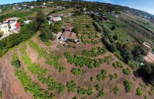 Finca Mamposo - Foto 5