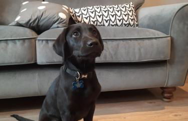 Croak Cottage, Frogmore - Foto 19