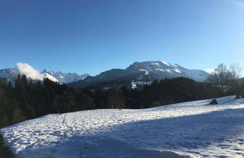 BERGFEX Falkenberg 304 mit Sommer-Bergbahnticket - Photo 21