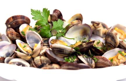 Palazzo Spada - Attico con terrazza vista fiume in centro - Foto 34