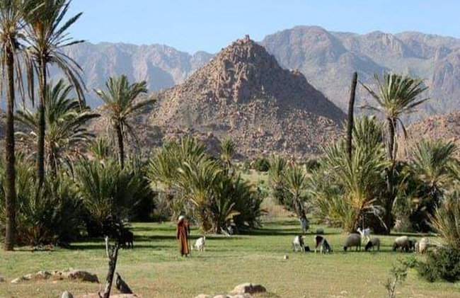 Tour de 2 días y 1 noche en Tafraoute y Cañón de Ait Mansour - Foto 16