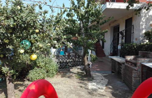 La terra dei ciliegi tra l'Etna e il mare di Taormina - Foto 23