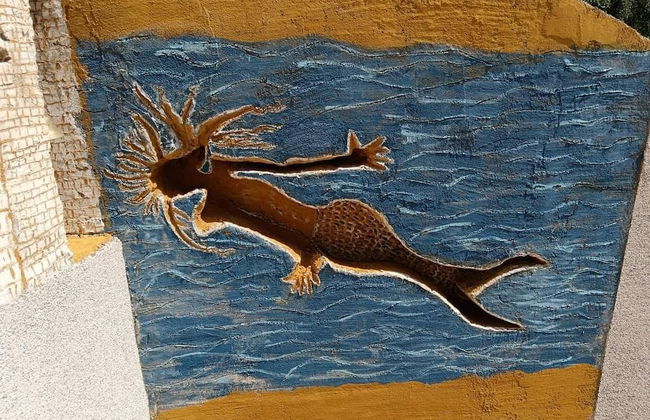 Holiday Home Lazuština Paradise - Foto 12