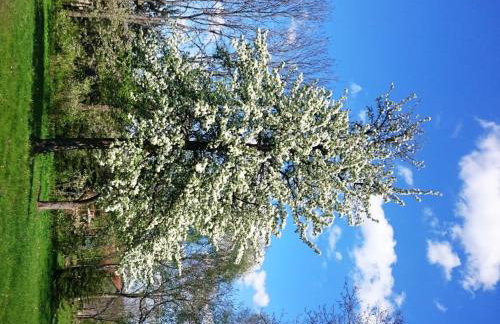 Dworek Szarki - Foto 32