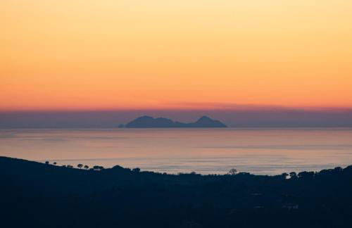 Vista Paradiso - Foto 59