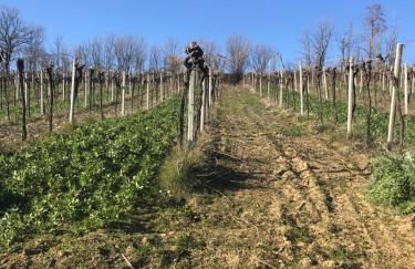 agriturismo cerquatonda - Foto 119