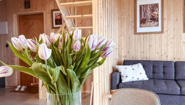 Chaty w chmurach - Foto 2