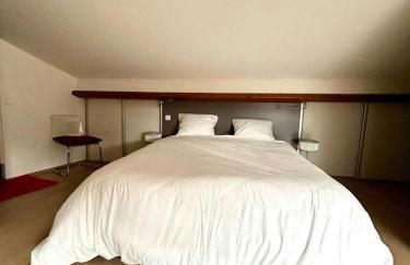 Loft Garonne - Centre ville immeuble privatif - Foto 33