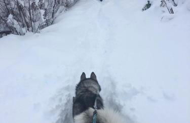 Molino Felix Alojamiento Rurales - Foto 39