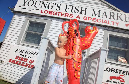 Cape Escape Chatham 5 Star Beach Chic 5 Min Walk to Beach-Newly Renovated Private Retreat AC - Foto 34