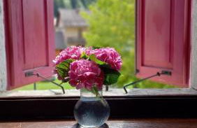 Appartamento il Riccio - Foto 1