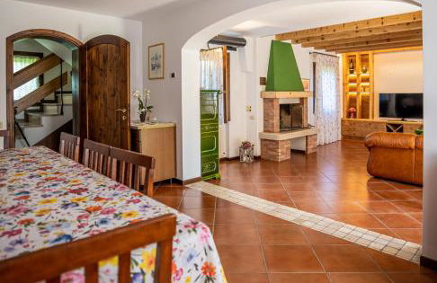 GATTO IN VIGNA - Foto 35