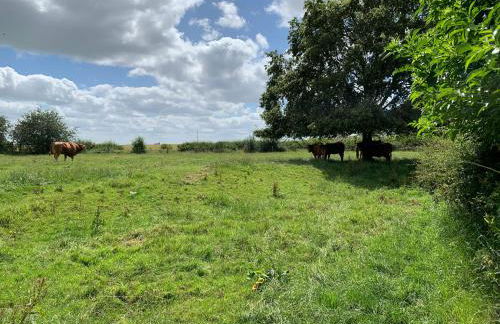 Jenson Cottage - Photo 38