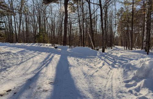 Pet-Friendly Lakefront Cabin by arc Vacation Rentals - Foto 10