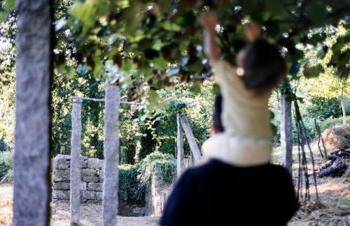 Aldea Rural Pazos De Arenteiro - Foto 46