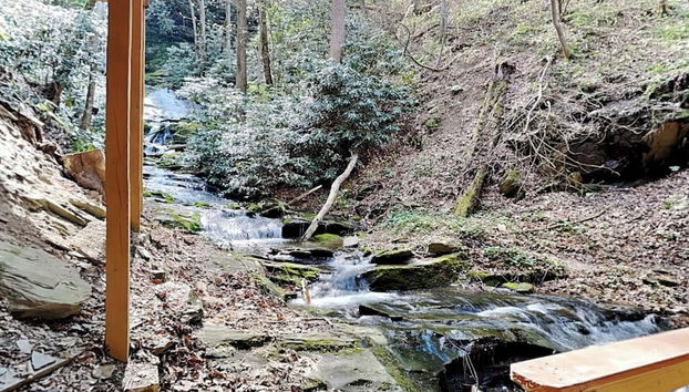 Black Bear Lodge by Jackson Mountain Rentals - Photo 4, Équipement de l’hébergement