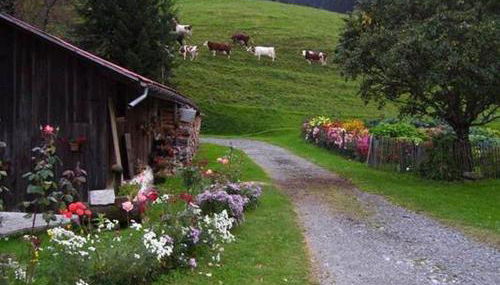 La Tour - Foto 4, Garden