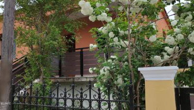 Classic House - Foto 4