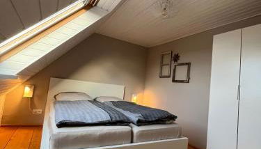 Fischerhus37 FeW Jasmund - Foto 4